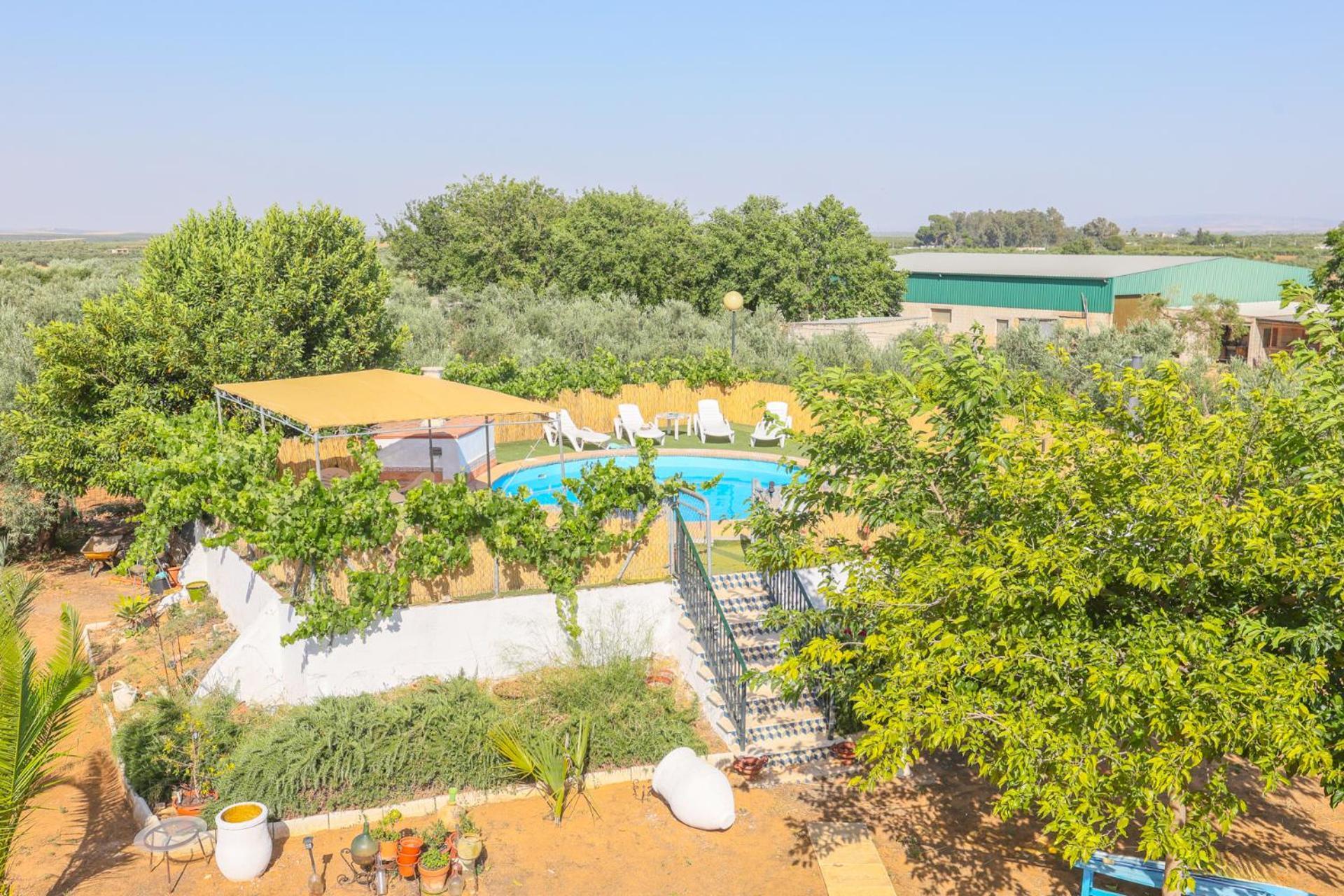 Casa Rural Los Miradores Marchena  Εξωτερικό φωτογραφία