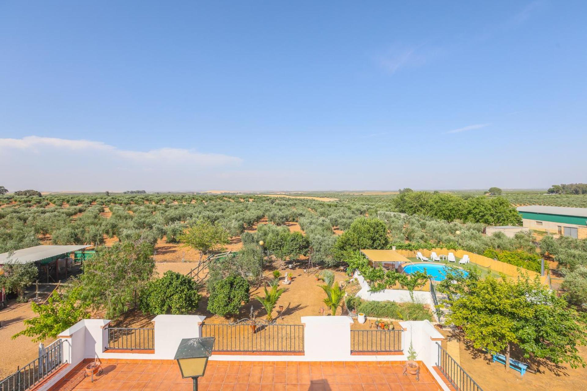 Casa Rural Los Miradores Marchena  Εξωτερικό φωτογραφία