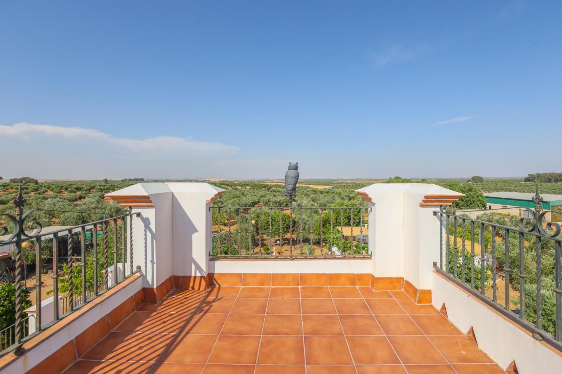 Casa Rural Los Miradores Marchena  Εξωτερικό φωτογραφία