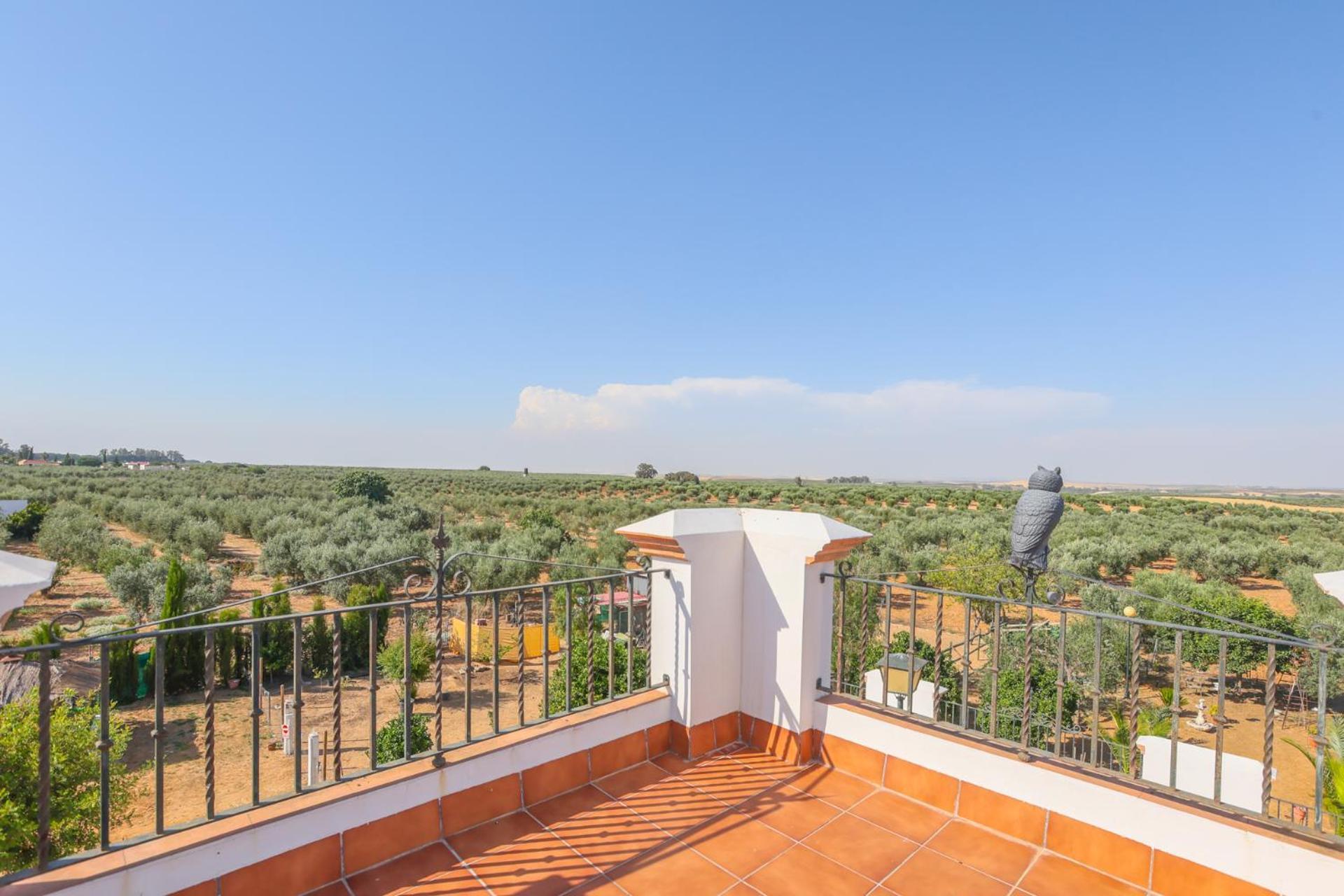 Casa Rural Los Miradores Marchena  Εξωτερικό φωτογραφία