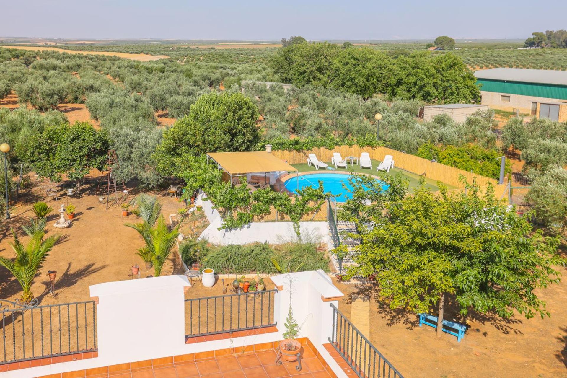 Casa Rural Los Miradores Marchena  Εξωτερικό φωτογραφία